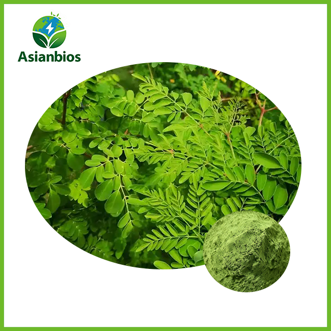 Buy Moringa Leaf Extract